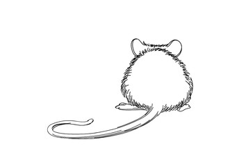 Mouse sketch hand-drawn illustration. Line art animal isolated on white background