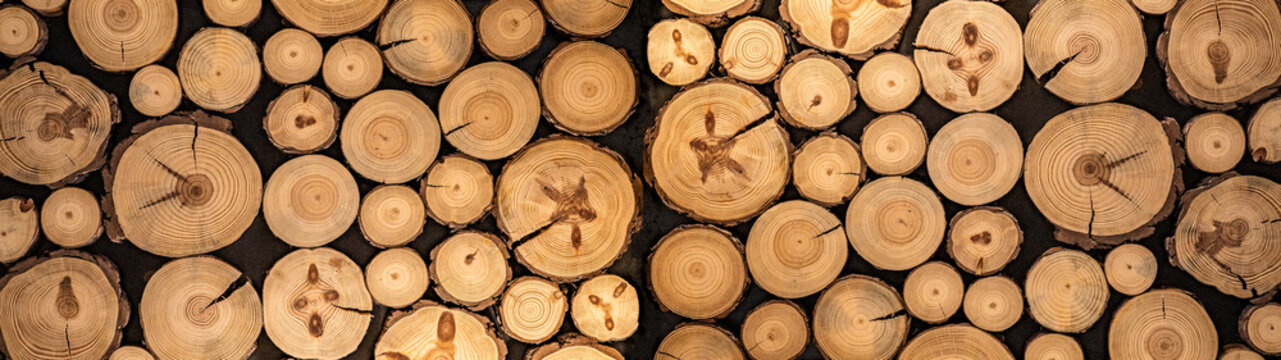 Stack of wooden stumps in cross section texture background banner panorama
