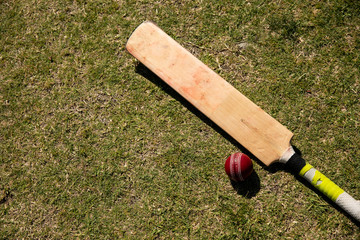 Cricket ball and cross