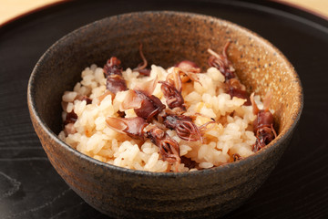 ホタルイカの炊き込みご飯