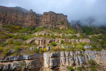 Canyon Landscape: Yellowstone Rocky Mountains