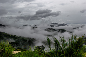 Blurred nature background of mist covering the trees on the mountains, scenic spots along the way, cool breezes