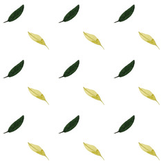 Seamless pattern of leaves. Watercolor illustration. Geometric pattern. Design for packaging, weddings, fabrics, textiles, Wallpaper, website, postcards.
