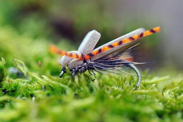 Dry fly for fly fishing close-up.