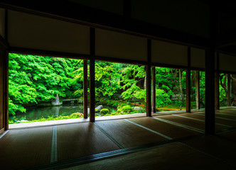 春の京都　蓮華寺