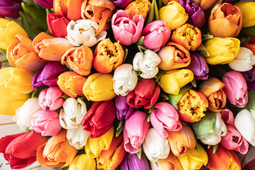 Fototapeta na wymiar Close-up Large Beautiful bouquet of mixed tulips. Flower background and Wallpaper. Floral shop concept . Beautiful fresh cut bouquet. Flowers delivery