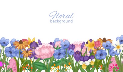 Floral background decorated with spring flowers, piones, daisies congratulation vector illustration. Women s day floral background card or poster.