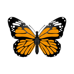 butterfly, black and orange dot wings