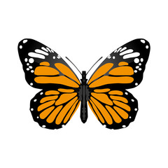 butterfly, black and orange dot wings