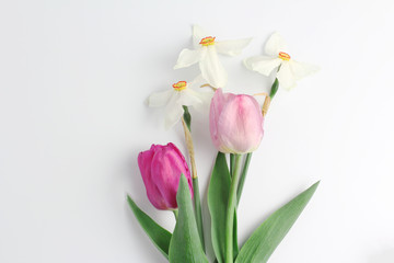 mini bouquet of spring flowers on a white background. white daffodils and purple and pink tulips