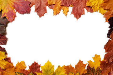 Autumn frame made out of leaves. isolated on white background. View from above.