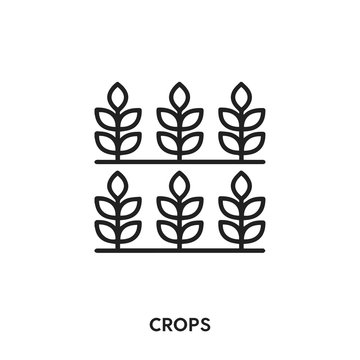 crops vector line icon. Simple element illustration. crops icon for your design. Can be used for web and mobile.
