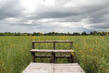 Obraz premium The old wooden bench is at the end of the bamboo path in the flower field.
