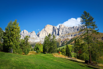 Fototapeta na wymiar Beautiful alpine landscape. Carezza village. Roda di Vael mountain group.