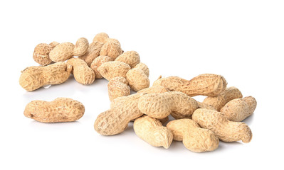  Peanut on a white background