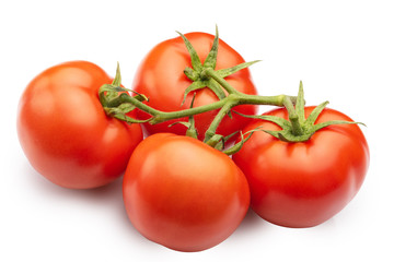 tomatoes on a branch isolated on white