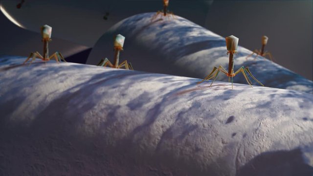 Bacteriophage virus. Bacterial viruses landing over bacterias.