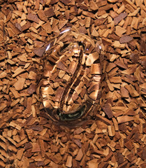Coffee granules under a glass with an image of a glass coffee bean.
