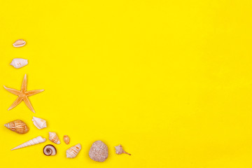 Sea shells, starfish on a yellow background. Summer mood mockup