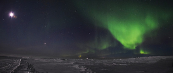 Fototapeta premium Zorze polarne i księżyc w Nunavik (Kanada)