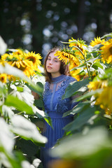girl walks a field of sunflowers
