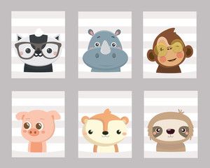 Set of animal posters.