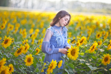 Naklejka na ściany i meble girl walks a field of sunflowers