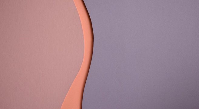 flat lay of pastel paper color in layer of line and curves