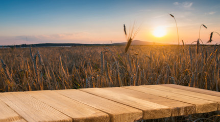 Assorted Beers in a Flight Ready for Tasting,vintage filter