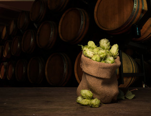 Beer, brewery background. Fresh green hop and wheat with wooden barrel on vintage table. Ingredients for brewing. Retro style. Beer brewing traditions. Copy space for your text
