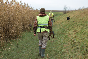 Hunting period, autumn season open. A hunter with a gun in his hands in hunting clothes in the autumn forest in search of a trophy. A man stands with weapons and hunting dogs tracking down the game...