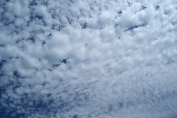 White clouds on a beautiful summer sky