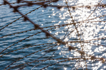 Obraz premium Rusty nato wire, rusty barbed wire, water in the background, border, abstract