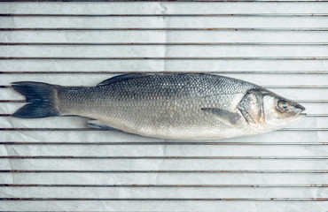 Raw whole seabass fish on the rustic background. Selective focus. Shallow depth of field.