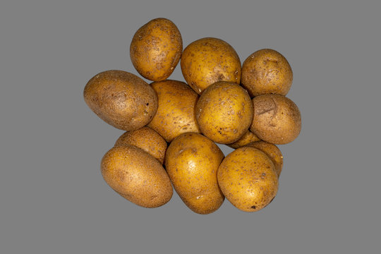 Eine Anzahl freigestellter roher Kartoffeln vor grauem Hintergrund