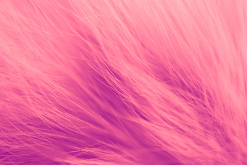 Delicate abstract fluffy background. Glamours pink fur backdrop.