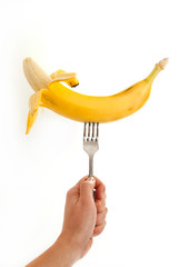 Banana on a fork in his hand