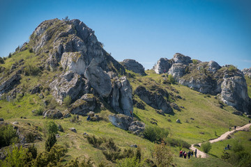 Fototapeta premium Nature landscape of mountain rocks with green grass and blue sky in summer