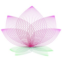 Geometric lines forming a flower. Abstract image.