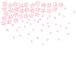 桜 フレーム　手描き風・上部イラスト （薄紅）