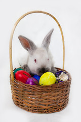 Easter cute rabbit and colorful Easter eggs in a basket