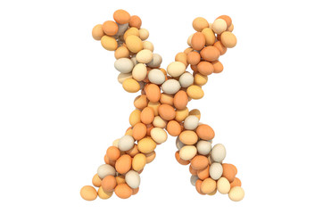 Letter X from chicken eggs, 3D rendering