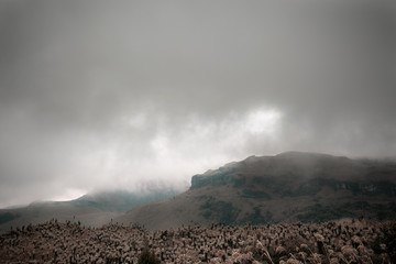 paramo