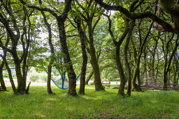 Fototapeta premium Seren Retreat, The Gower, Wales