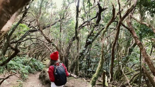 Woman dressed casually in red shirt and hat hiking with backpack in the beautiful rainforest, view from the backside. Video recorded on a smartphone