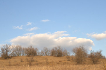 Scenic early spring landscape with golden hills, trees, blue sky, and white clouds