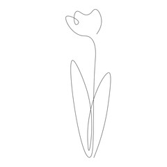 Spring flower tulip isolated on white background vector illustration