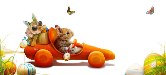 Osterhase unterwegs zum Osterfest!