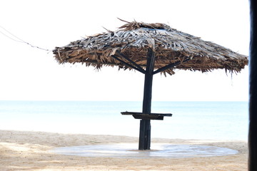 Beach in the golden sunshine 
