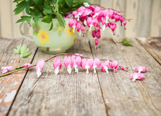 Bouquet of pink flowers. Heart-shaped flowers. Bleeding heart flowers (Dicentra spectabils). Vintage floral background.